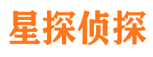 红旗市调查公司